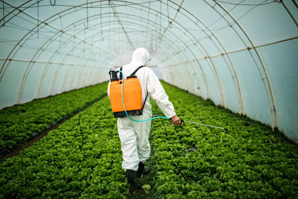 Best Affordable Pest Control Services  in Frederick, MD